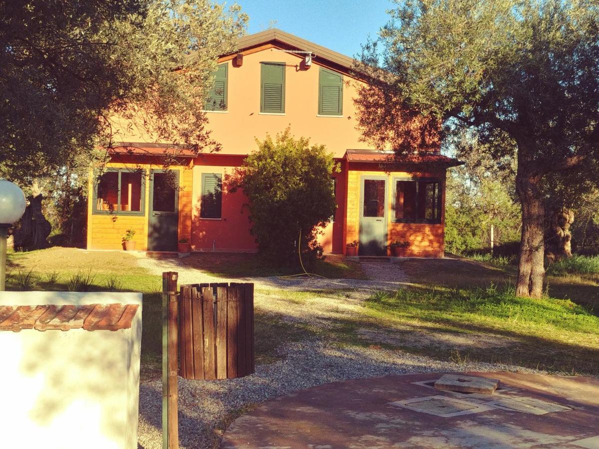 La Piana Degli Ulivi Bed & Breakfast Росано Екстериор снимка