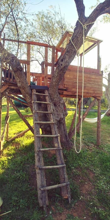 La Piana Degli Ulivi Bed & Breakfast Росано Екстериор снимка