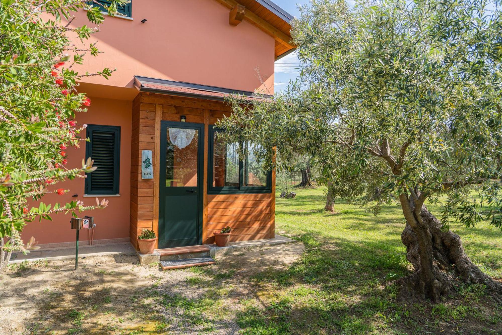 La Piana Degli Ulivi Bed & Breakfast Росано Екстериор снимка
