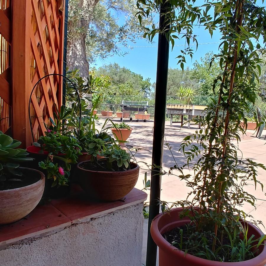 La Piana Degli Ulivi Bed & Breakfast Росано Екстериор снимка