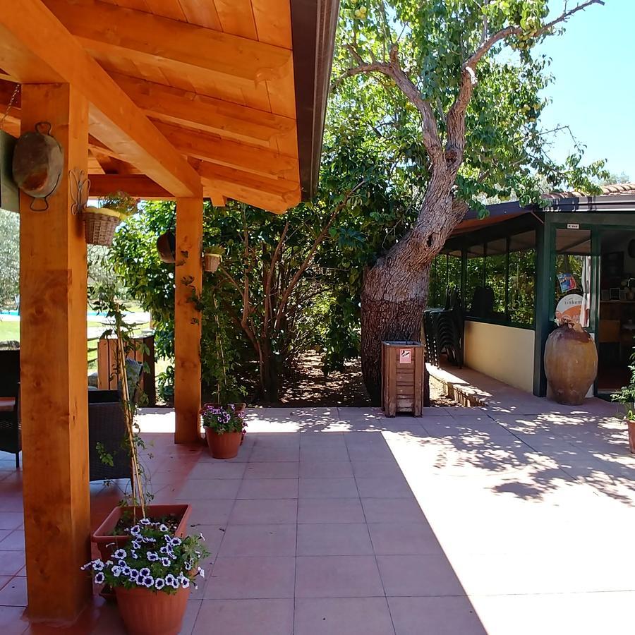 La Piana Degli Ulivi Bed & Breakfast Росано Екстериор снимка