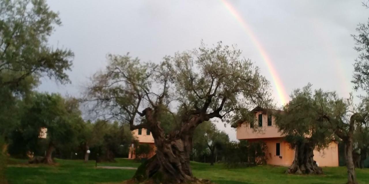 La Piana Degli Ulivi Bed & Breakfast Росано Екстериор снимка